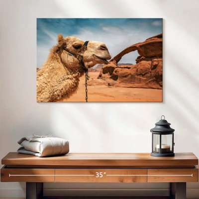 Brampt Camel In Wadi Rum Desert