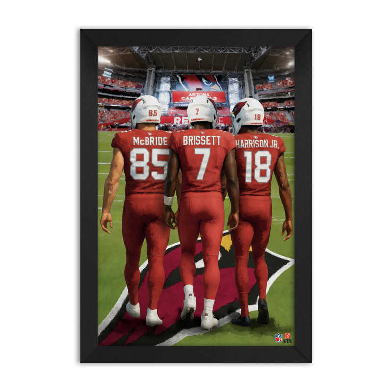 Impression encadrée 14" x 20" des Arizona Cardinals (NFL) - 3 joueurs, NFL Arizona Cardinals