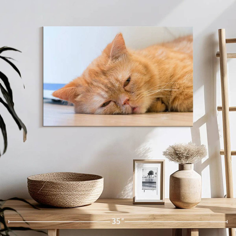 Crowle Sleeping Cat, 16" H x 24" W