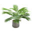 Palmier artificiel en pot 16 po Areca-33390919