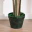 Topiaire faux buis en pot