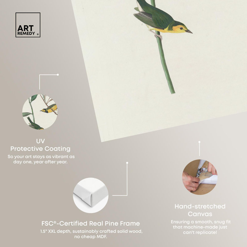 Art botanique par Art Remedy, impression sur toile, H 45 po x l 30 po, Gallery Wrapped