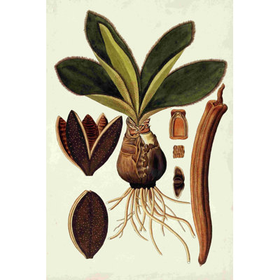 Leaf Varieties V