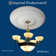 CEILING MEDALLION