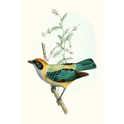 On Perch II - Painting Print