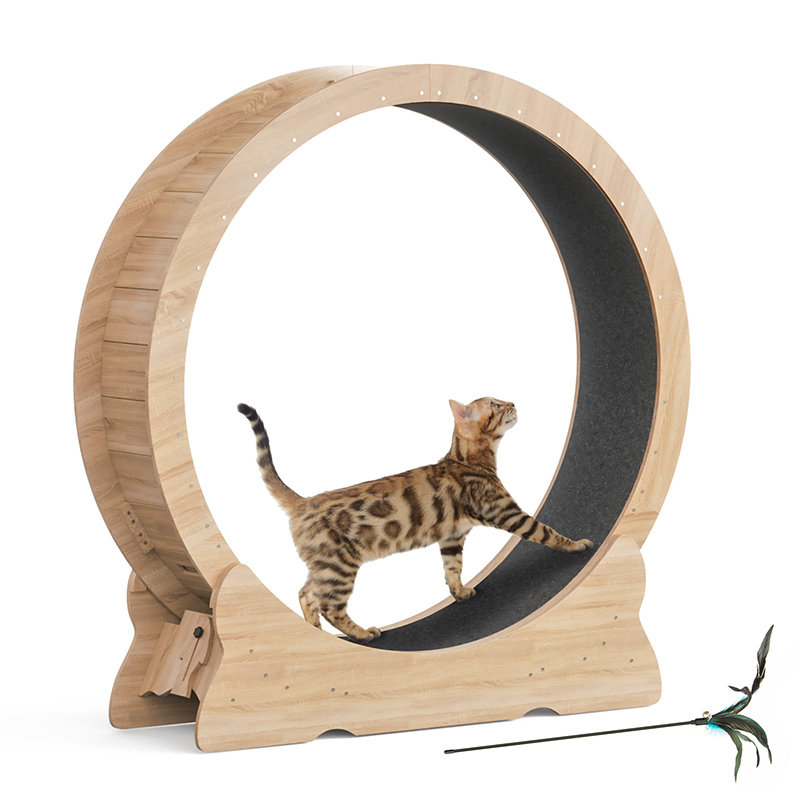 Modern 43.3''Cat Exercise Wheel
