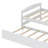 Platform Bed With Trundle-168386796