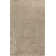 Oriental Indoor Rug