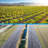 Artpuch  Premium Weed Barrier Landscape Fabric Heavy Duty , Woven Weed Control Fabric, Good Permeability for Weed Block Gardening Mat, Driveway Fabric, Landscaping Fabric, Ground Cover-89153190