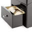 Watch Box +