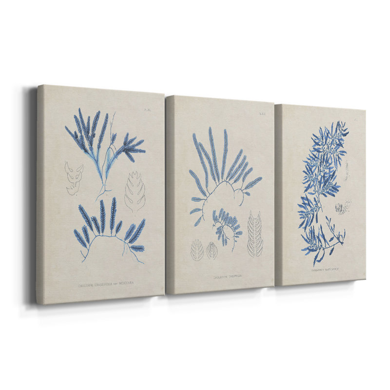 Blue Blue Algae I - Toile tendue avec châssis sur mesure - 3 pièces, H 12 po x l 24 po