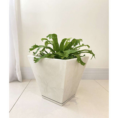 Zurique Pot Planter