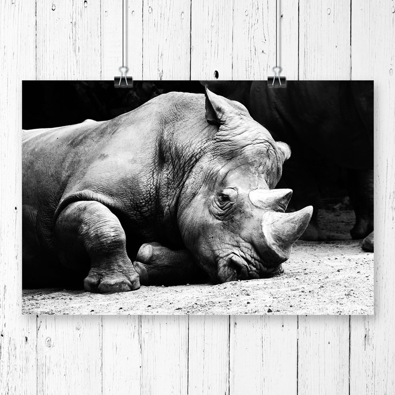 No Frame Print, 42cm H x 59.4cm W
