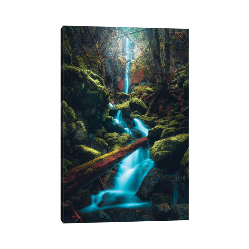 Tucked Away par Zach Doehler - reproduction d'art, Toile tendue, H 12 po x l 8 po x P 0,75 po