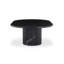Oranda Marble Coffee Table-634420282