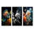 Corals Butterflyfish Aquamarine Adventure-143910847-143910844