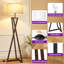 153cm Powder Coated Tripod Floor Lamp-423434606