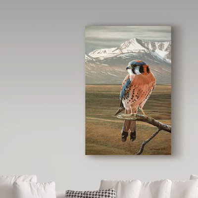 Etelca 'American Kestrel' Graphic Art Print on Wrapped Canvas