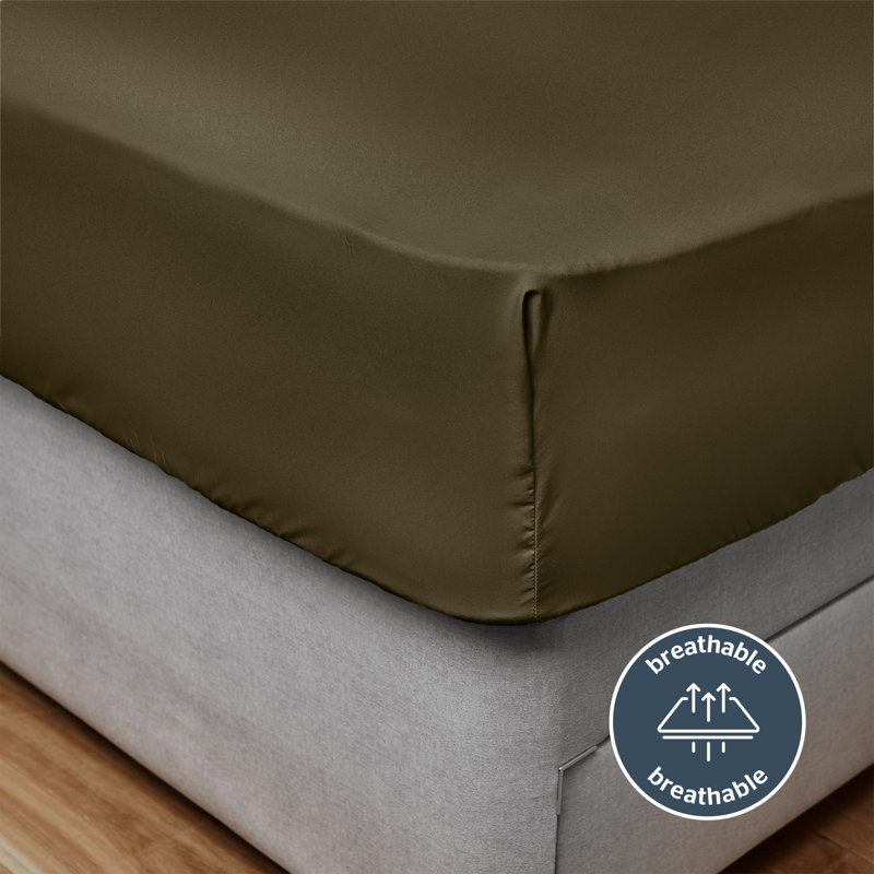 Silentnight Supersoft Fitted Sheet, Double (4'6), Green
