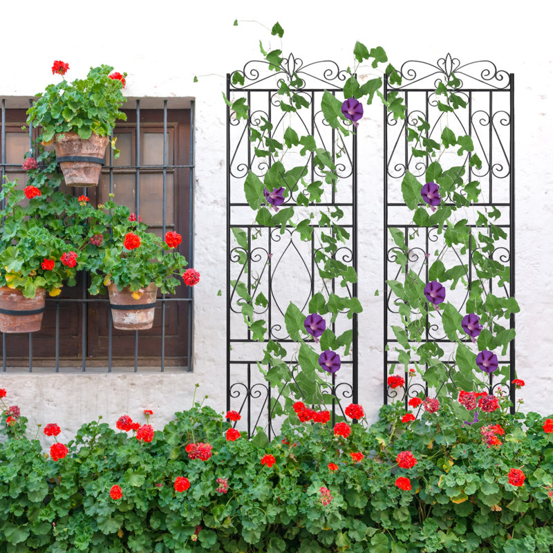 Wulfram 182.05cm H x 50.05cm W Iron Lattice Panel Trellis Side Panel