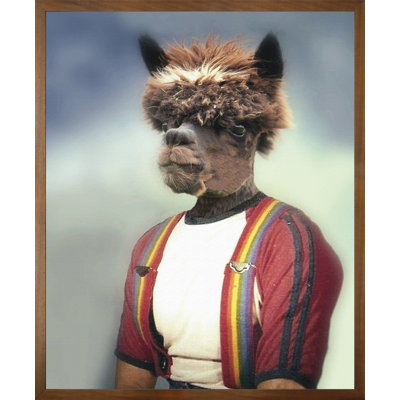 Anthony Alpaca by Angela Rossi - Single Picture Frame Print on Canvas