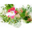 Floral 2852 Print by Chamira Young-71201376-71201377