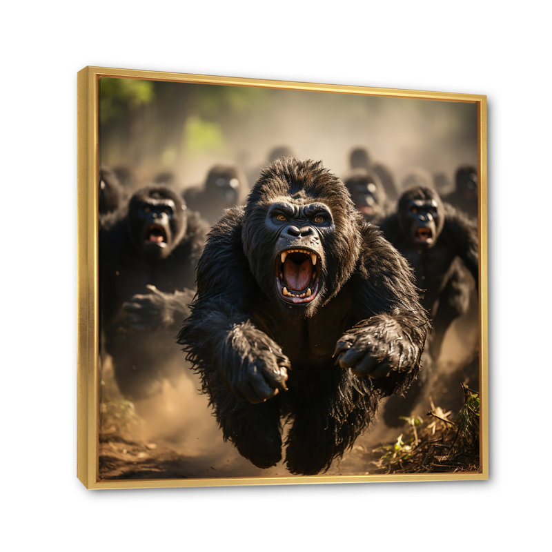 Gorilles d'Afrique qui courent - Reproduction, 24" H x 24" W, Cadre flottant doré
