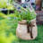 Claxten Handmade Pot Planter-656268230