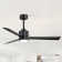 52'' Ceiling Fan With Lights And Remote Control