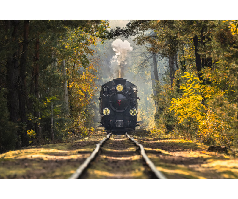 Wrapped Canvas Print, 50.8 cm H x 76.2 cm W