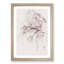 A Pink Cherry Blossom Tree - Picture Frame Painting Print-56853384-56853383