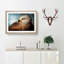Portrait of a Red Kite Bird - Picture Frame Painting Print on MDF-55601442-55601440