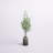 72'' Birch Tree in Terracotta Pot