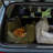 Marco Two Seater Travel Pet Bed, Army-117026835