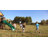 Backyard Discovery Canyon Creek Cedar Wood Swing Set with Wave Slide, Clubhouse, Rock Wall, and Play Kitchen