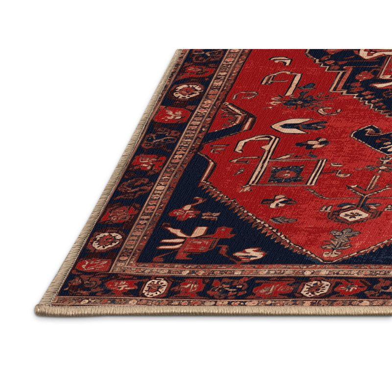 Tapis brun turc lavable à la machine, Rond 4 pi