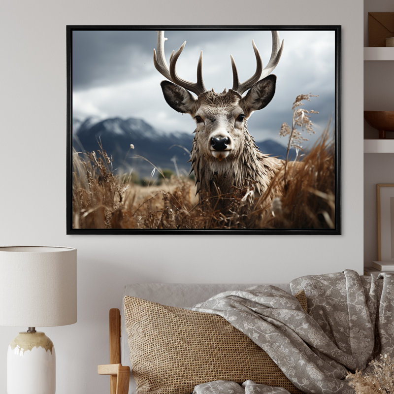 Photographie de cerf monochrome III - animaux, H 34 po x l 44 po x P 1,5 po, Cadre flottant noir