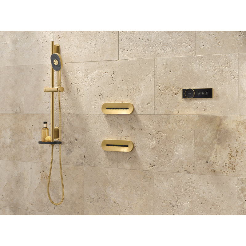 Statement™ Oblong Vichy 2.5 Gpm Body Spray, Vibrant Brushed Moderne Brass