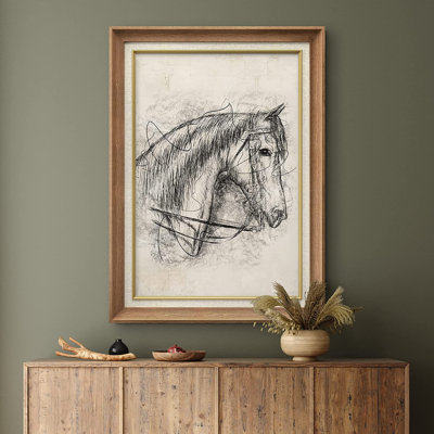 " Stallion Horse "