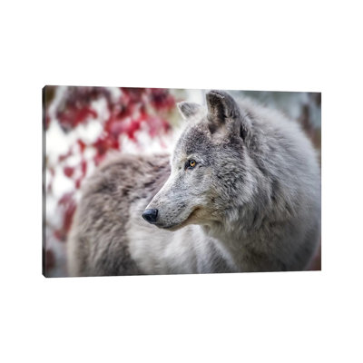 Grey Timber Wolf Portrait 1 Piece Wrapped Canvas Wall Art