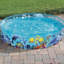 Vojtech Plastic Round Kiddie Pool 38cm H x 183cm W x 183cm L