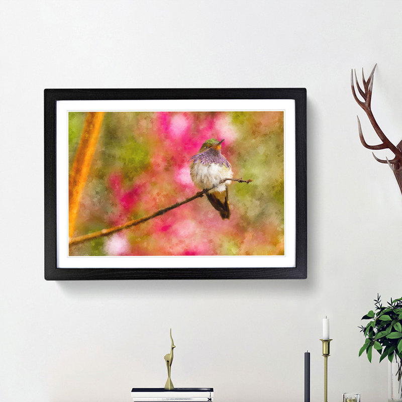 Hummingbird - Picture Frame Graphic Art Print, 27cm H x 36cm W x 2cm D, Black Framed