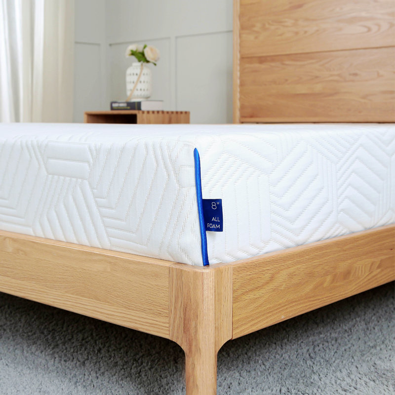 Matelas en mousse viscoélastique de 10 po Alwyn Home Lightle, Très grand