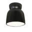 Radiance Collection™ Outdoor Flush Mount-1971274083-1884733330