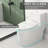 17" ADA Comfort Height Dual-Flush Toilet Modern Elongated One-Piece Toilet for Floor Mounted Glazed Surface (Seat Included)