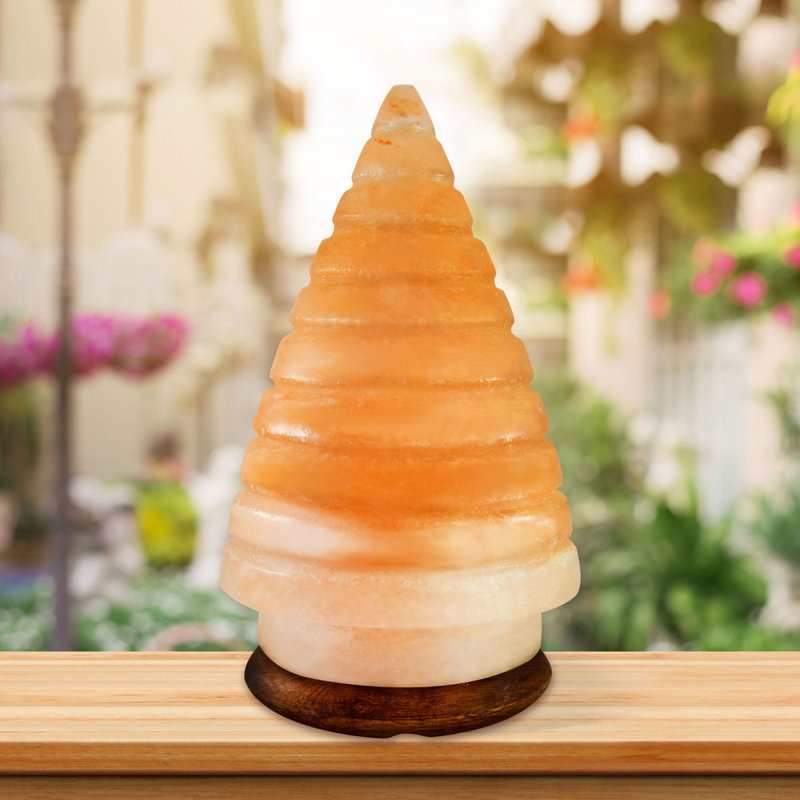 Pasternak 4 Ibs Salt Lamp