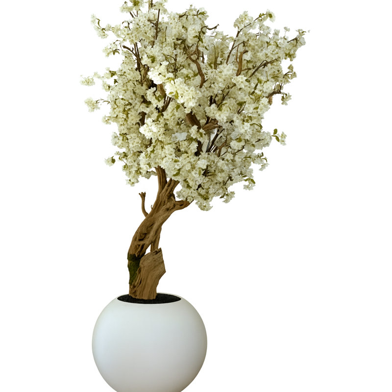 White Cherry Blossom Tree In 30" Matte Beige Globe Planter, 90" H x 40" W x 34'' D, White