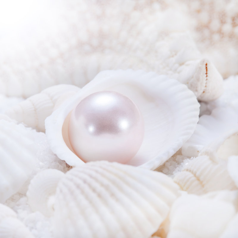 Pearl by Gebai - Wrapped Canvas Print, 122cm H x 122cm W
