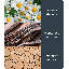 Bamboo Everyday Reed Diffuser - Vanilla & White Woods-113464893