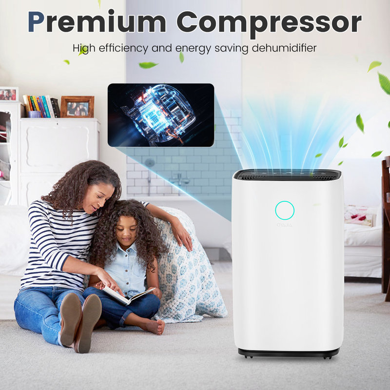 25L Compact Dehumidifier